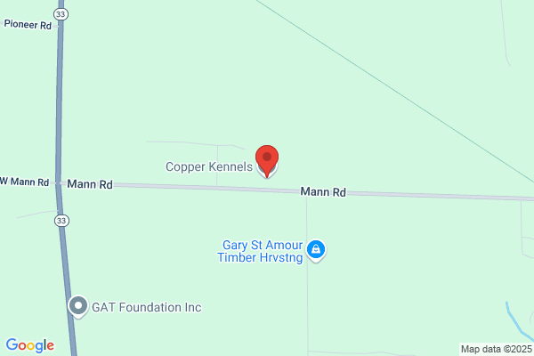 Copper Kennels