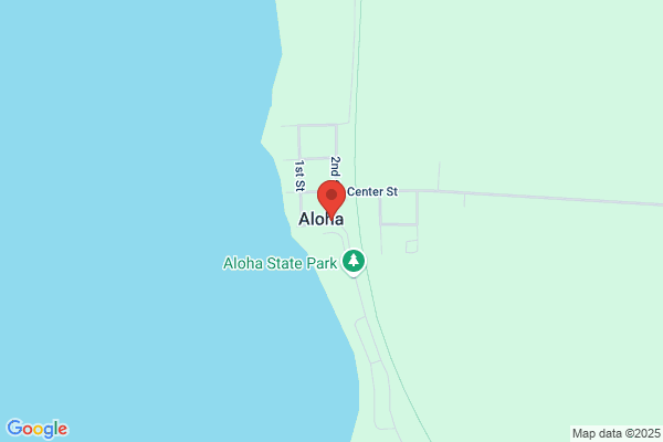 Aloha Store
