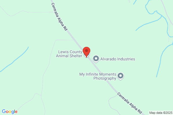 Lewis County of, Animal Shelter