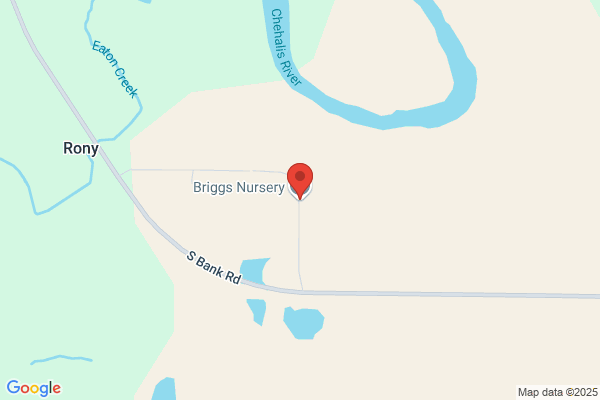 Briggs & Briggs