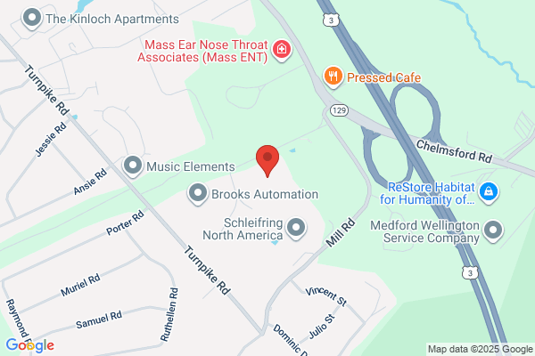 Electronic Associates Inc