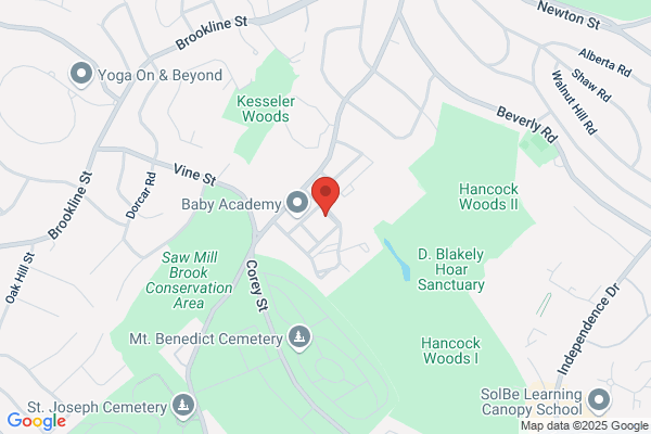 Chestnut Village Condominium Association