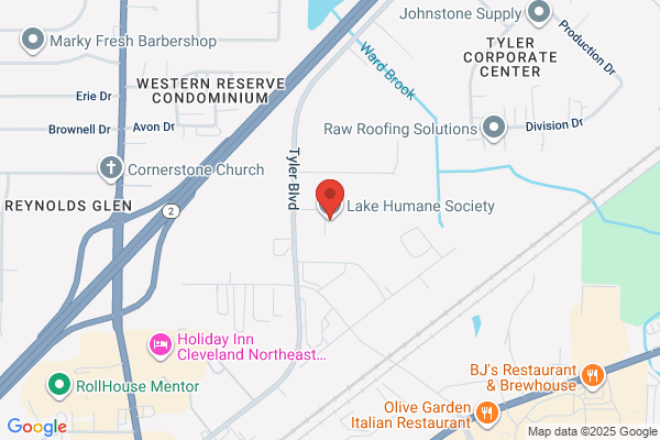 Mentor Shelter Services Inc
