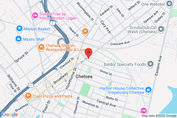 Chelsea City of, Library
