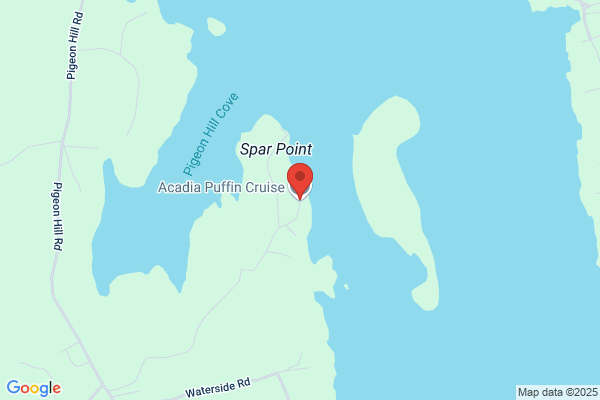 Puffin Stop