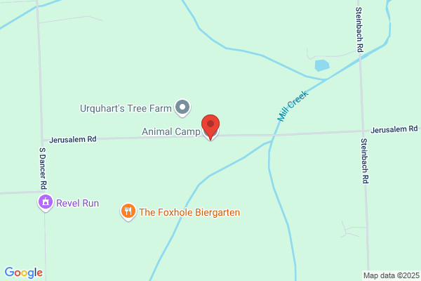 Animal Camp