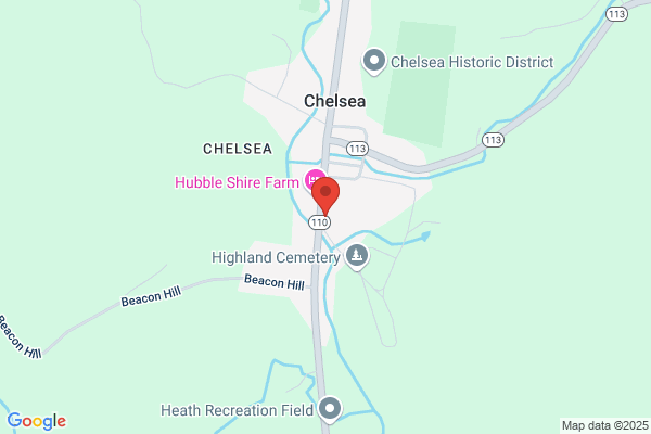 Chelsea Animal Hospital