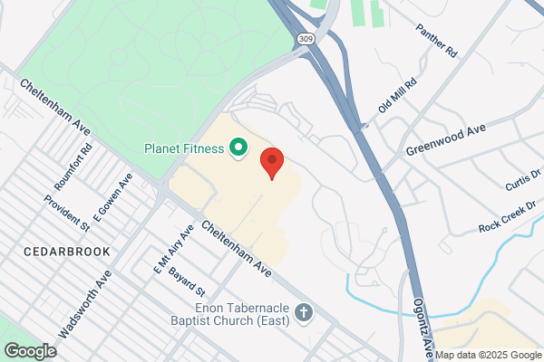 Pathmark of Cheltenham, Store