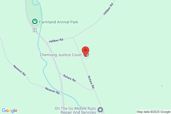 Chemung Town of, Town Assessor