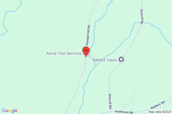 Aerial Tree Service