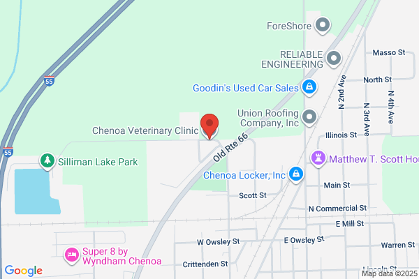 Chenoa Veterinary Clinic