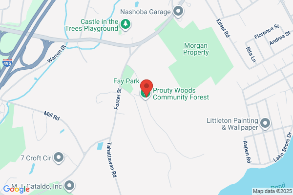 Southern New England Forest Consortium Inc