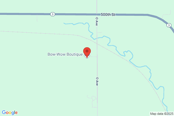 Bow-Wow Boutique