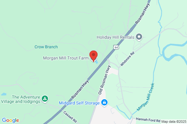 Morgan Mill Trout Fishing Resort At Cherokee