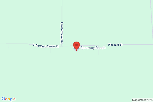 Runway Stables