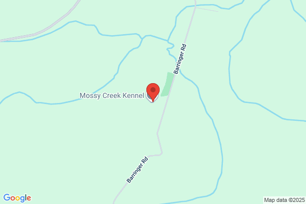 Mossy Creek Kennel