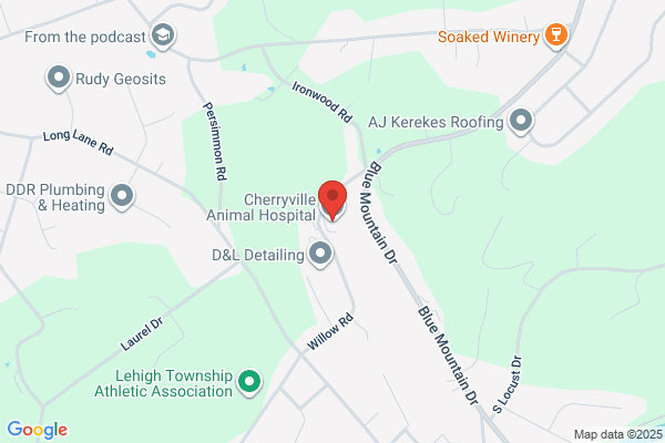 Cherryville Animal Hospital