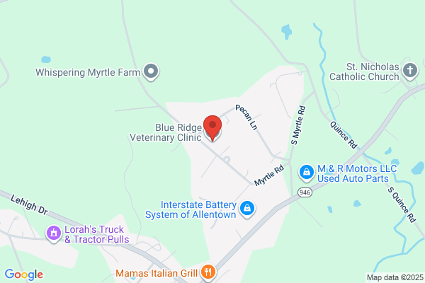 Blue Ridge Veterinary Clinic