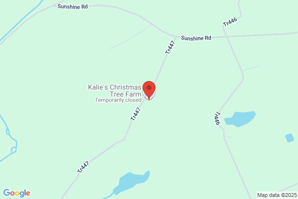 Kaylee Tree Farm