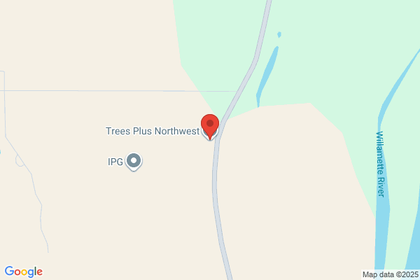 Trees Plus