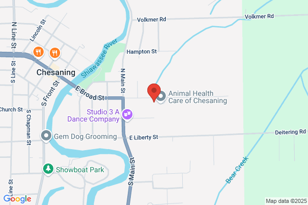 Chesaning Child Care Center