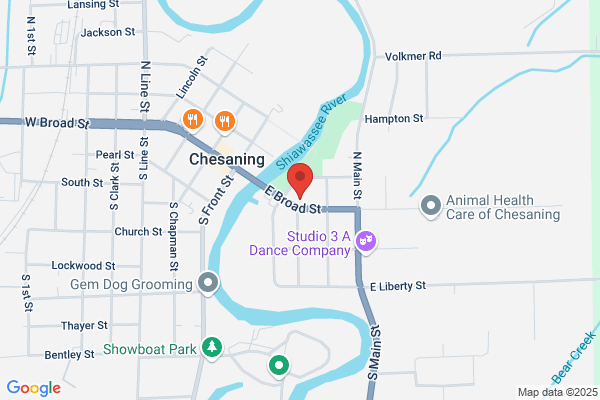 Chesaning Oil & Gas Co