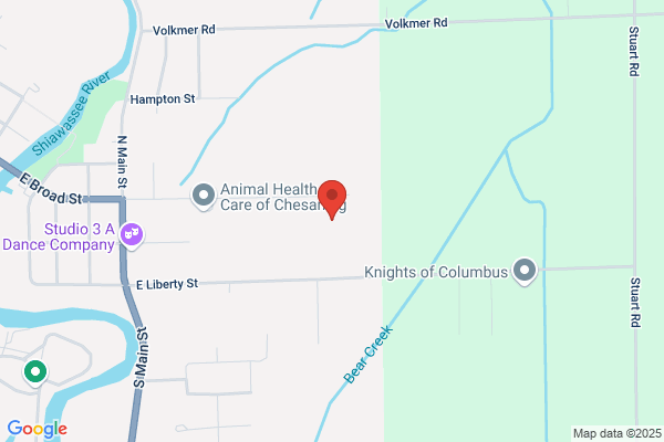 Chesaning Union Schools, Brady Elementary School
