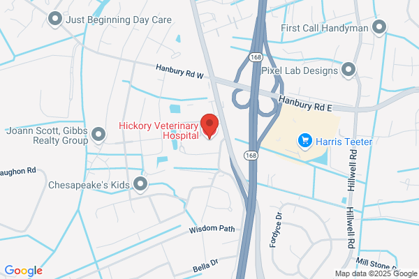 Hickory Veterinary Hospital