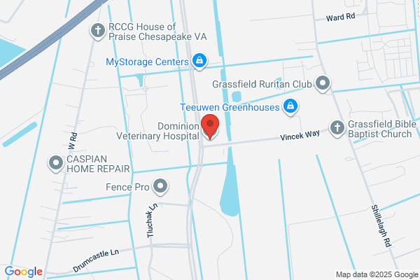 Dominion Veterinary Hospital