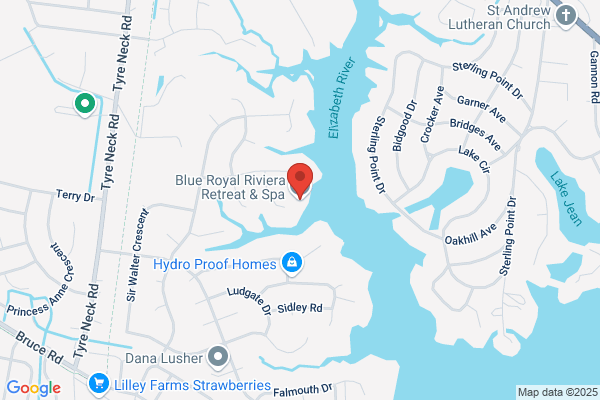 Blue Lotus Wellness Center & Spa
