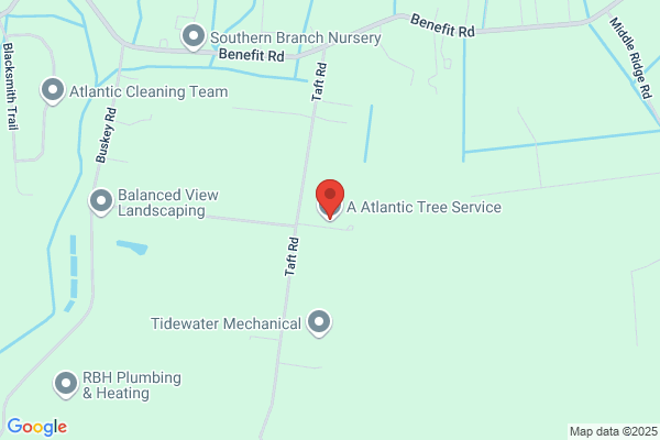 A Atlantic Tree Service