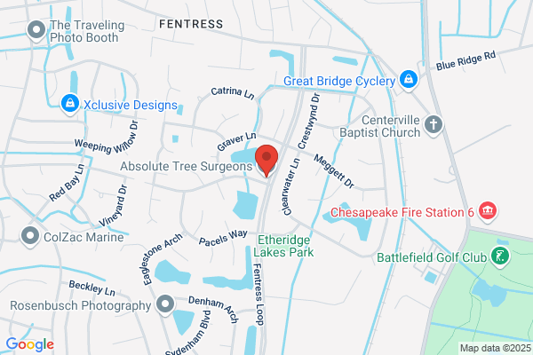Absolute Tree Surgeons LLC
