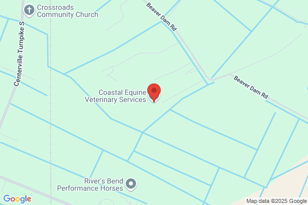 Coastal Equine Veterinary Service