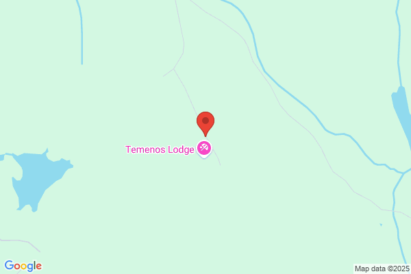 Temenos Inc