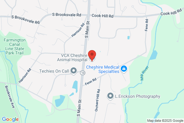 VCA Cheshire Animal Hospital