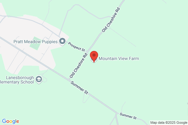 Mountain Home Properties
