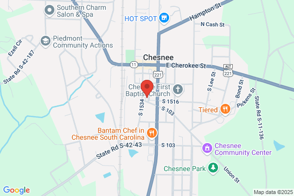 Chesnee Auto Parts & Paints Inc