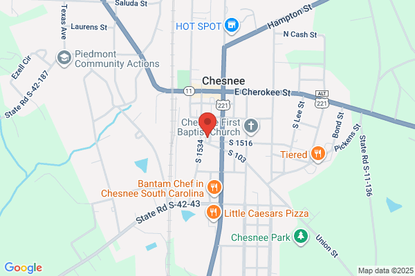 NAPA Auto Parts - Chesnee Auto Parts & Paint