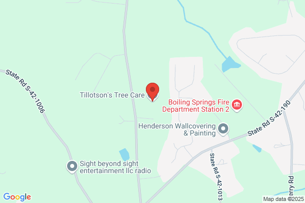 Tillotson's Tree Care