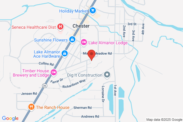 Chester, Chester High School