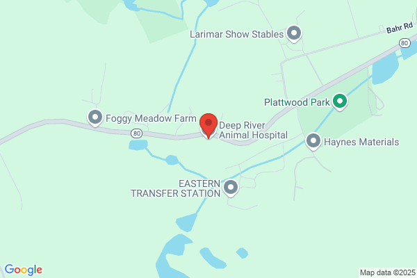 Deep River Animal Hospital