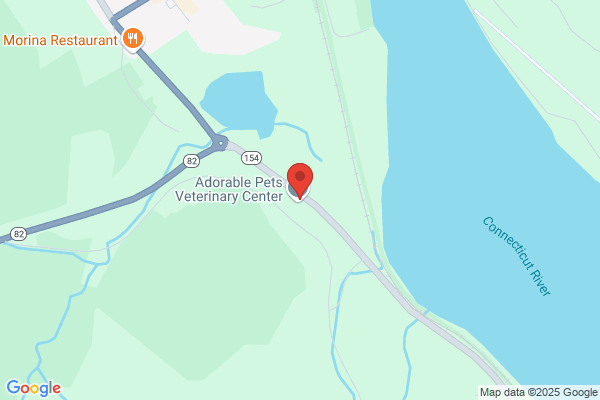 School Market Research Institute
