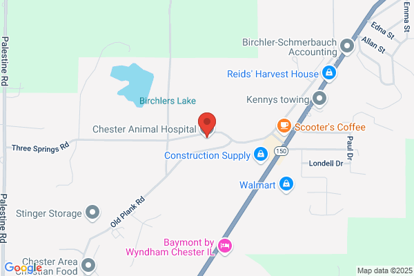 Chester Animal Hospital