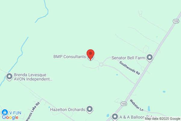 BMP Consultants