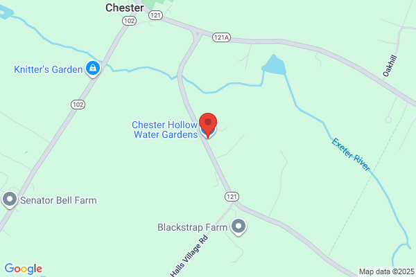 Chester Hollow Flower Farm