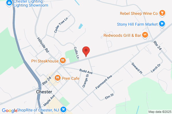 Chester Family Dental: Antonia Gut, DDS