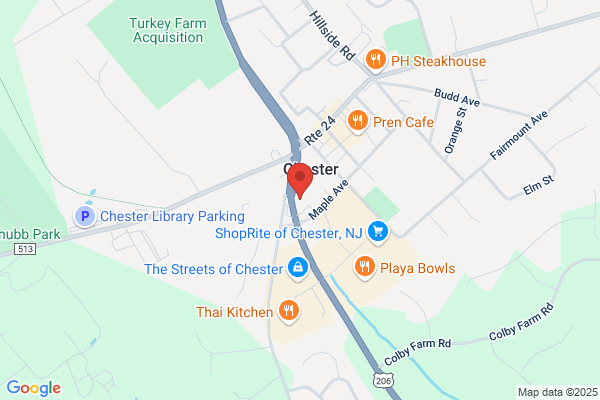 Chester Hills Diner Inc