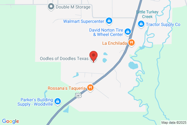 Oodles of Doodles Texas