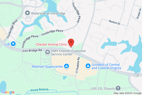 Chester Animal Clinic