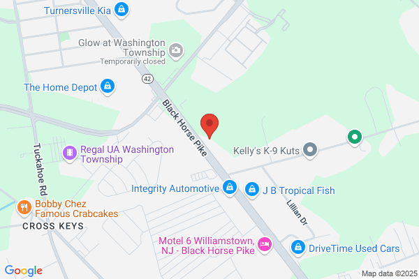 Kelly Kar's